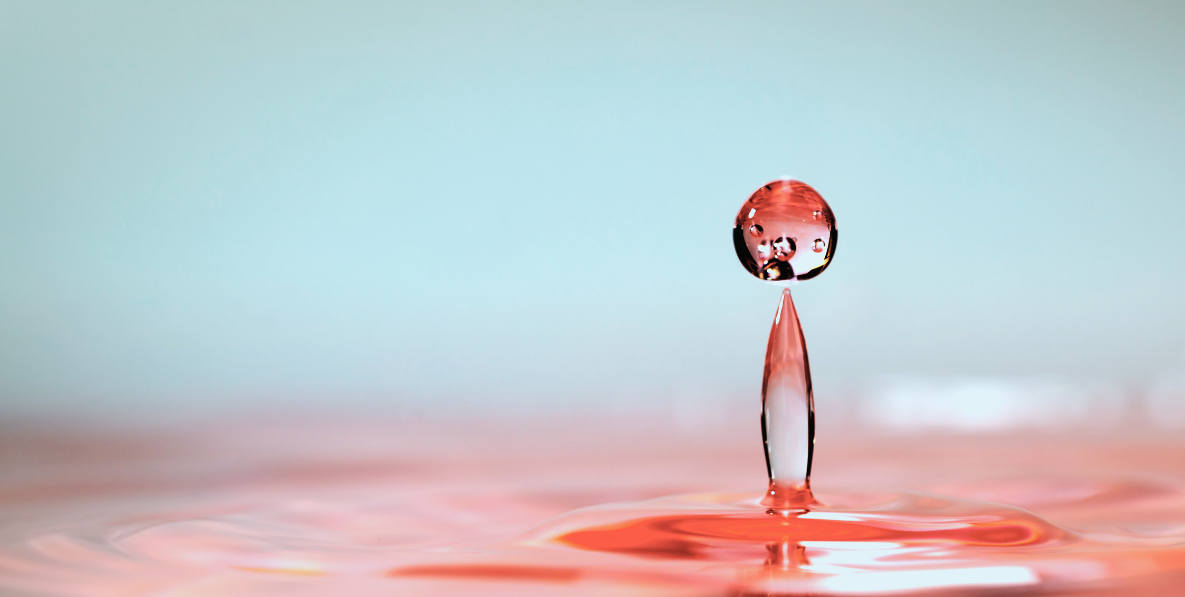 PD Packages landing page graphic-1